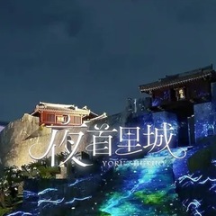 （大人県民割券）チケット　首里城