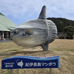 走りに行こ♪