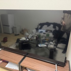 テレビ