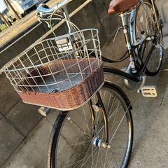 ロココ　茶色　27インチ