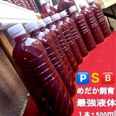 🅿️Ｓ🅱️1,500mlメダカを一匹も落とさない為に.針子ぐんぐん！No.1333の画像