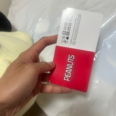 新品SEGA PEANUTSの画像