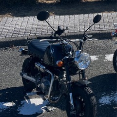 ゴリラ50