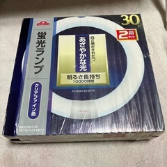 TOPVALU 蛍光ランプ クリアホワイト 2本セット
