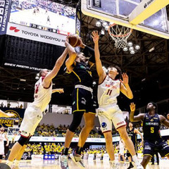 ⛹️アリーナ席　Ｂリーグ観戦無料🆓
