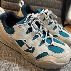 NIKE スニーカー　25cm　