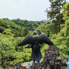 【神奈川ハイキング仲間募集】　　　ゴールデンウィーク開催予定