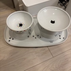 猫壱食器セット