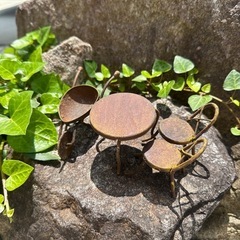 エアプランツ　小物の画像