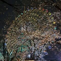 群馬県近郊のメンバー募集