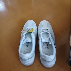 ミドリ安全靴