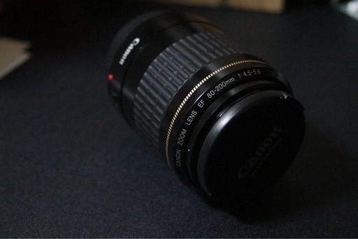 Canon kiss x5