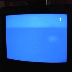 SHARP製VHS ビデオレコーダー及び ソニー製１４インチ トリニトロン カラーTV　中古 セット　の画像