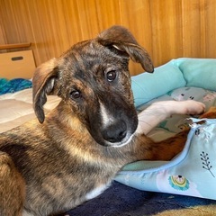 甘えん坊さん3ヶ月オスの助さん