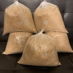 令和5年　玄米　5kg