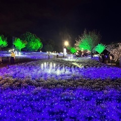 明るくよく笑う方✨一緒に楽しく交流しませんか？
