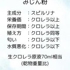 タマミジンコ15000匹(5g)〜の画像