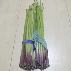 お話中【訳あり】ふき　土日限定
