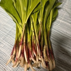 行者ニンニク