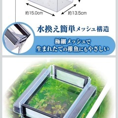 GEX メダカ元気 育てるお守りケースの画像