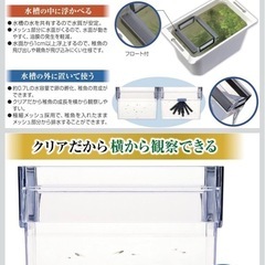 GEX メダカ元気 育てるお守りケースの画像