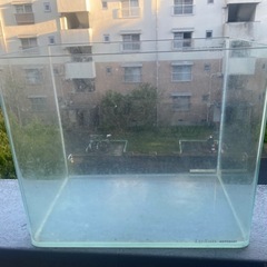 ガラス　水槽　の画像