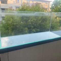 ガラス　水槽　の画像