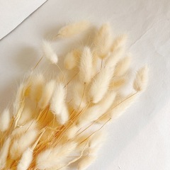 最安値‼️ラグラス　ドライフラワー　約40輪の画像