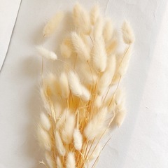 最安値‼️ラグラス　ドライフラワー　約40輪の画像