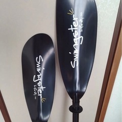 【美品】スウィングスター インフィニティ カーボンシャフト パドル オマケでキャリーバッグ付き の画像