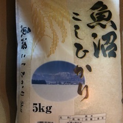 魚沼産　こしひかり　5kg お米 ②