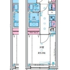 🏢安心の叶えRoom✨『1K』市川市関ケ島✨敷金礼金無料💰✨人気...
