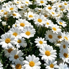 5月🌿自然を楽しむ！🌳🌼