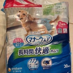 犬　おむつ