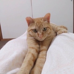 クリームくん　11ヶ月