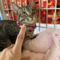 人馴れバツグン💖とうこちゃん