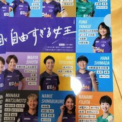 広島サンフレッチェ　レジーナ　クリアファイルの画像