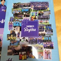 広島サンフレッチェ　レジーナ　クリアファイルの画像