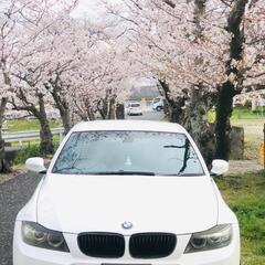 車検8年4月