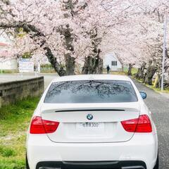 ありがとうございましたの画像
