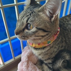 誰にでも懐くメメちゃん