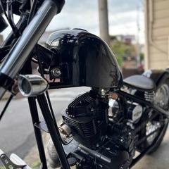 ヘイスト250の画像