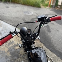 ヘイスト250の画像