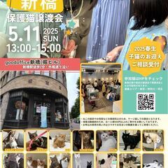 5/11(日)保護猫譲渡会＠新橋（新橋駅徒歩2分）