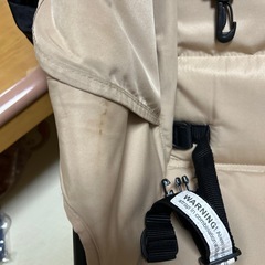 エアバギーココダブルの画像