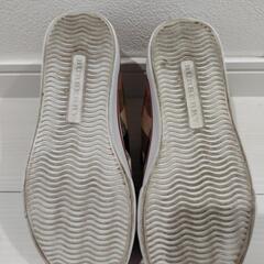 BURBERRYのキッズスニーカーの画像