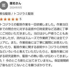 トコジラミ駆除専門店　ナンキンムシ　完全駆除します！　一律価格　格安駆除キャンペーン価格中！ − 兵庫県