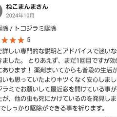 トコジラミ駆除専門店　ナンキンムシ　完全駆除します！　一律価格　格安駆除キャンペーン価格中！ - 地元のお店