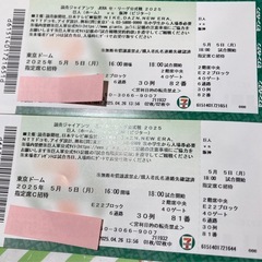 ペア★5月5日 巨人対阪神 東京ドームチケット 