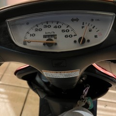 ライブディオの画像